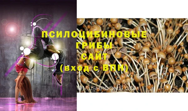 ГАЛЛЮЦИНОГЕННЫЕ ГРИБЫ Балабаново