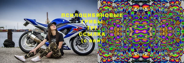 ГАЛЛЮЦИНОГЕННЫЕ ГРИБЫ Балабаново