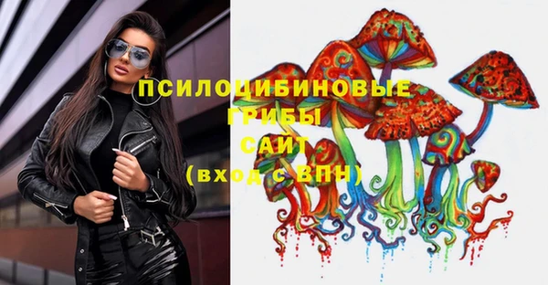 ГАЛЛЮЦИНОГЕННЫЕ ГРИБЫ Балабаново