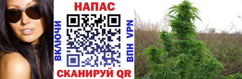 Бошки марихуана White Widow Покров